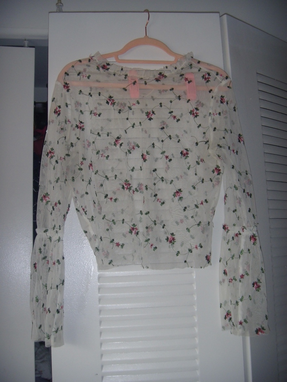 Sheer Floral Long-Sleeve Top - Cream with Pink Roses